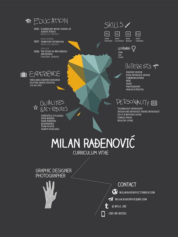 Amazing Resume Design Examples Creatives Wall